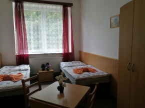Hotel u Pralesa